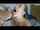 petite webcam chaturbate