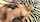 What's the name of this porn star?