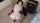 What's the name of this porn star?