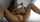 Pornstar name or video