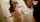 japanese jav asian
