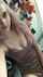 What's the name of this porn star?