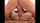 teen pussy blowjob