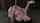 black bondage kinky