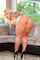 who is she ?