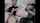 webcamshow brunette couple