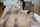 pornstar passionhd