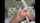 webcam dildo blonde