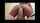 cock riding compilation