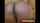 cam camgirl dildo