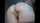 ass amateur white
