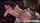 What's the name of this porn star?