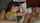 amateur blowjob brunette