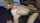 black hot cock