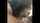 milf blowjob asian