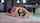 name or vid