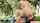 outdoor blowjob handjob