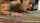 facial sex pussy