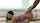 hardcore blowjob brunette