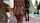 camgirl ass latin