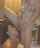What's the name of this porn star?