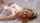 blonde blowjob cumshot