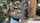 babes teen gay