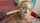 cumshot facial jizz
