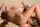 oral nude lesbian