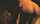 What's the name of this porn star?