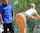 bangbros joi
