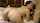 milf sex blonde