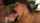cumshot hardcore babe
