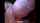 cumshot cum sexy