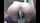dildo riding cam