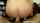 anal amateur realamateur