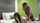 teen hardcore blowjob