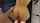 anal cumshot cum