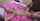 Video Adress Link ?