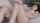 dildo teen blonde
