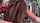 doggystyle camgirl webcamshow
