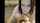 redhead masturbation cam