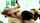 babes cumshot hardcore