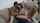 cumshot teen hardcore