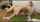 What's the name of this porn star?