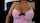 cumshot pussy hardcore
