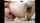couple chaturbate anal