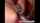 cumshot compilation vaginal
