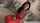 babe pornstar ass