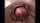 creampie compilation